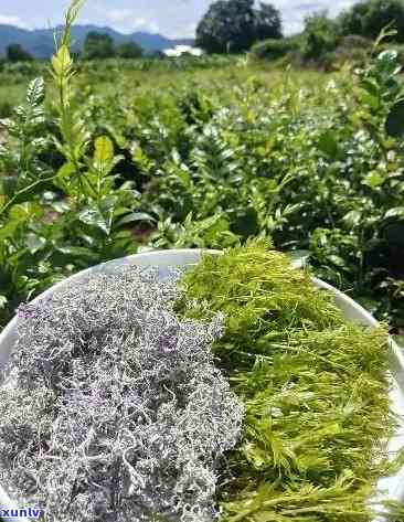 綜合布線 第217頁