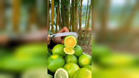 平湖最新資訊，城市脈動與成長見證