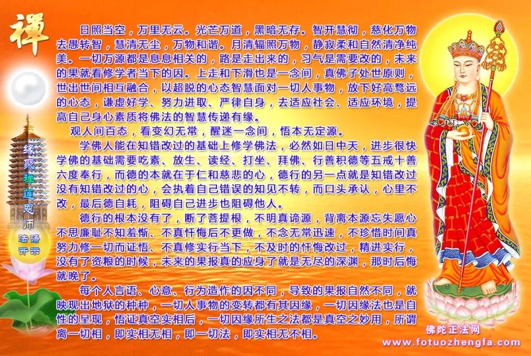 最新佛法開(kāi)示揭秘，小巷深處的禪意寶藏探尋