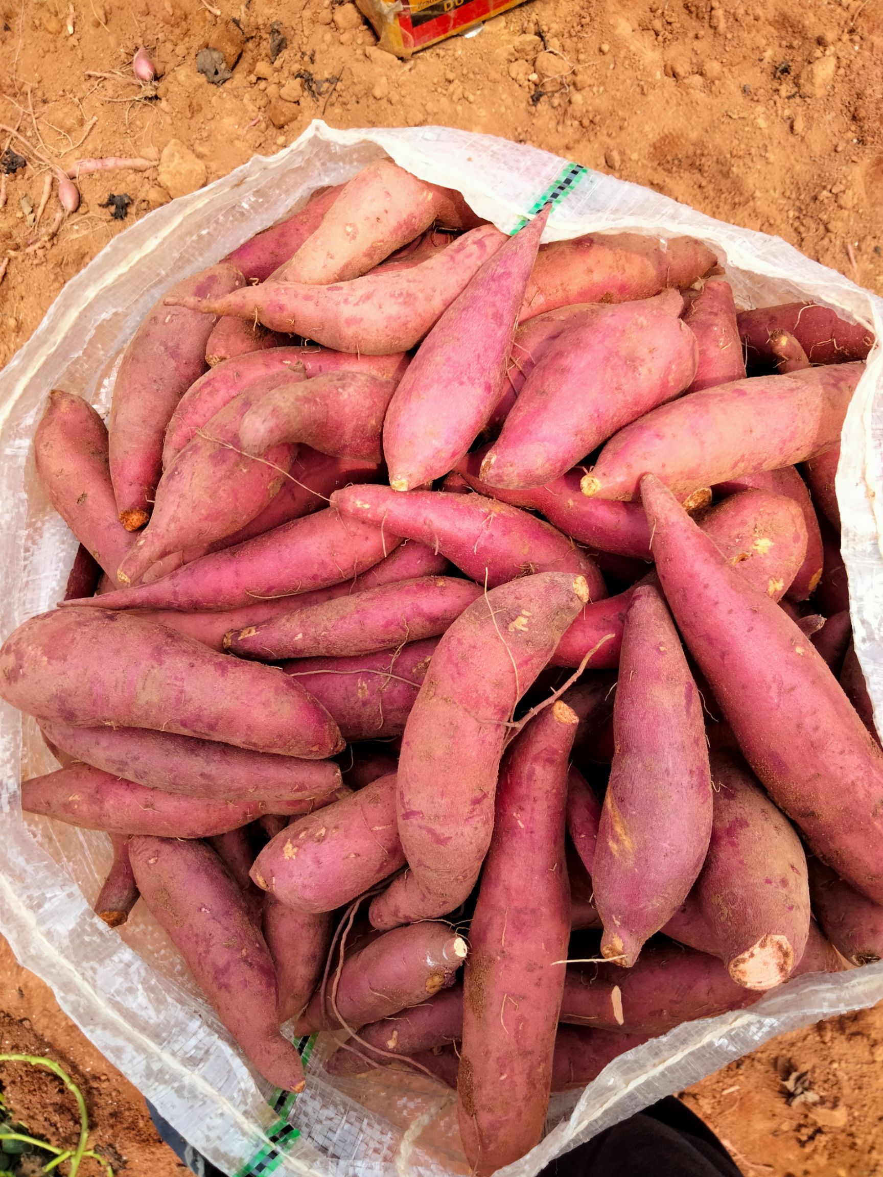 第621頁(yè)