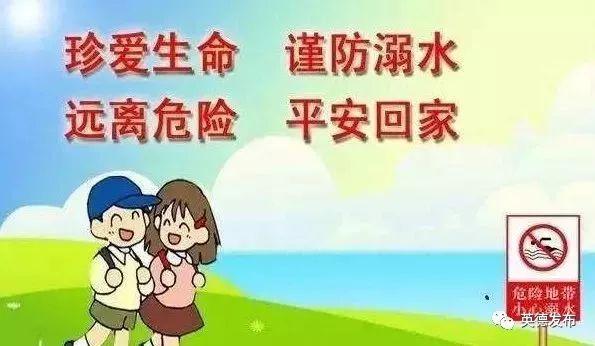 征文比賽方案，初學者與進階用戶的全方位指南