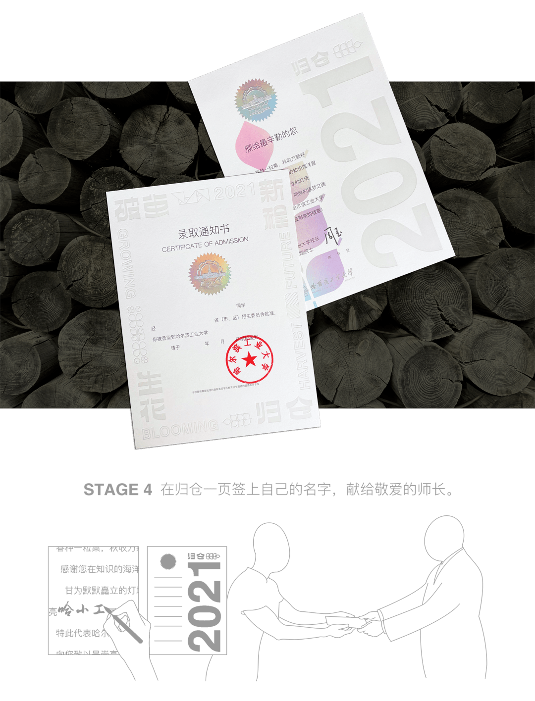 小巷印章探秘，最新章節(jié)揭秘官方印章的魅力