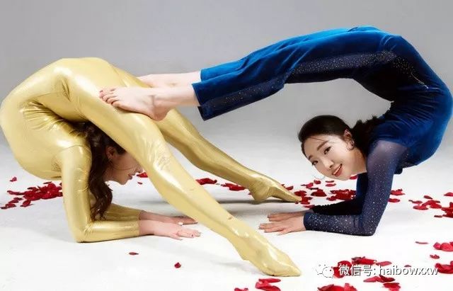 柔術(shù)資訊深度解析，探索世界聚焦要點(diǎn)
