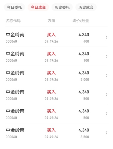 中金嶺南行情深度解析，最新動態(tài)與走勢分析
