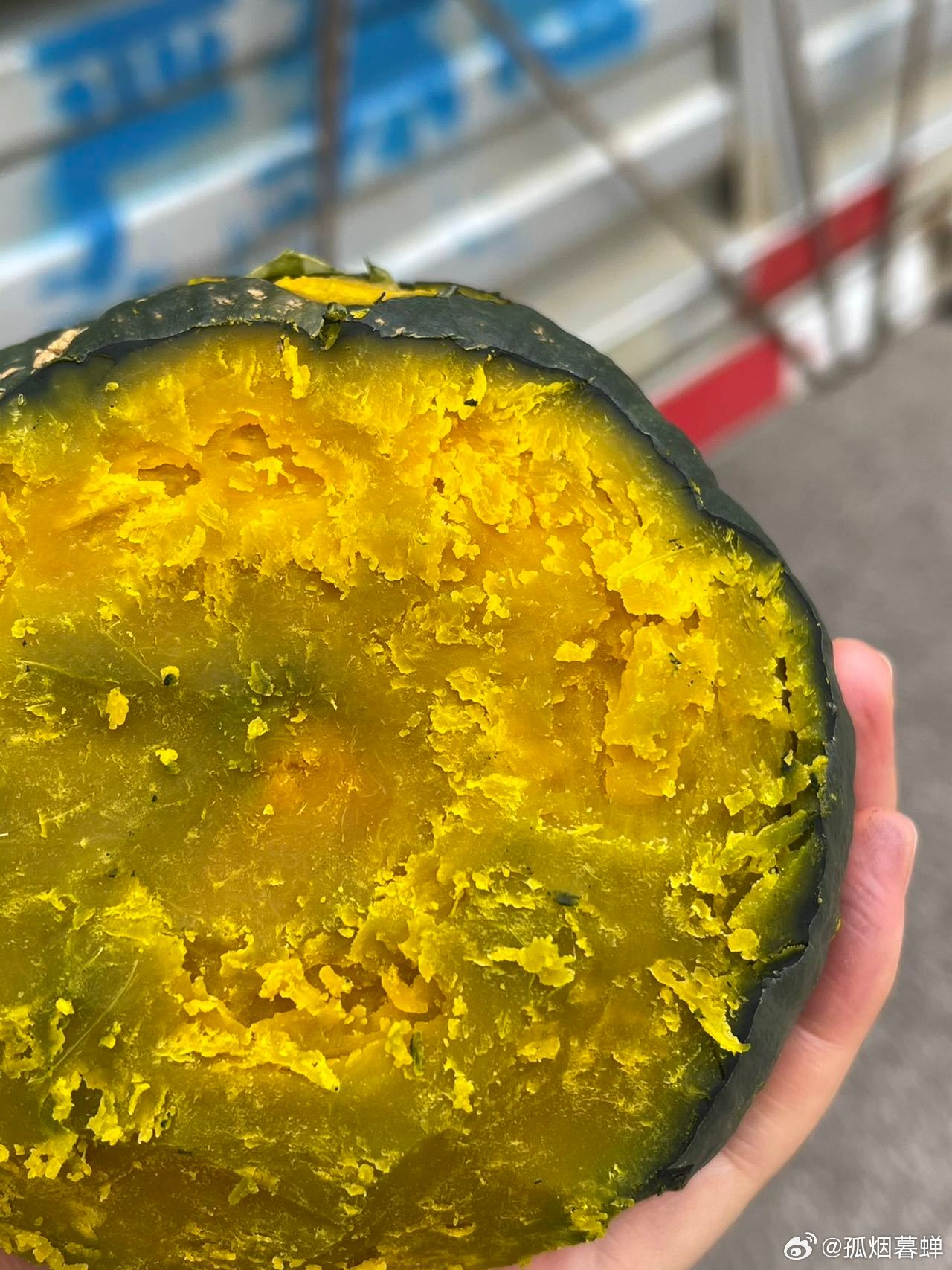 鉤花新品速遞，一場與自然的美麗遨游之旅