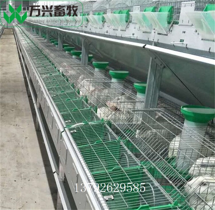 革新養(yǎng)兔業(yè)，新型兔籠引領(lǐng)里程碑式發(fā)展