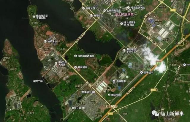 藏龍島二小最新動態(tài)揭秘，小巷特色小店探秘之旅