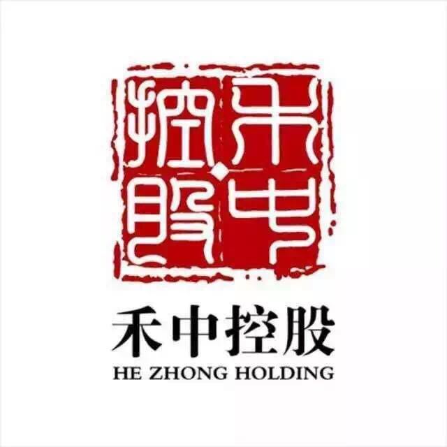 禾中控股集團(tuán)最新消息概覽，權(quán)威指南發(fā)布