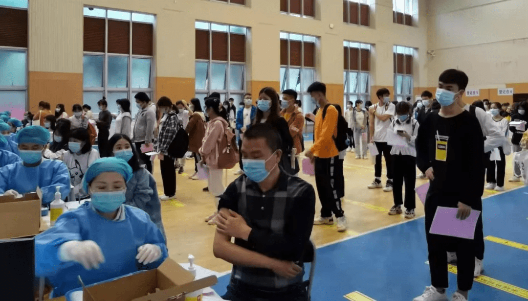 日本失聯(lián)女孩最新消息揭秘，探索背后故事與尋找線索（2025年更新）