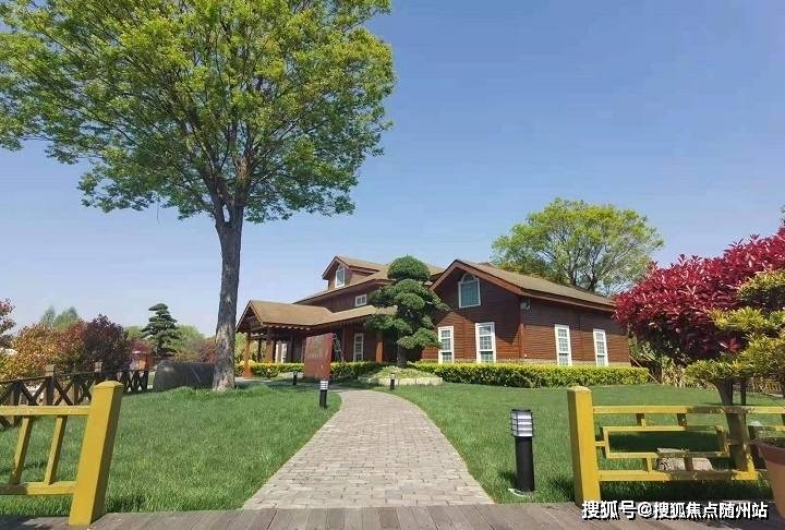 變化中的學(xué)習(xí)之旅，中澤純境最新消息與自信成就之源
