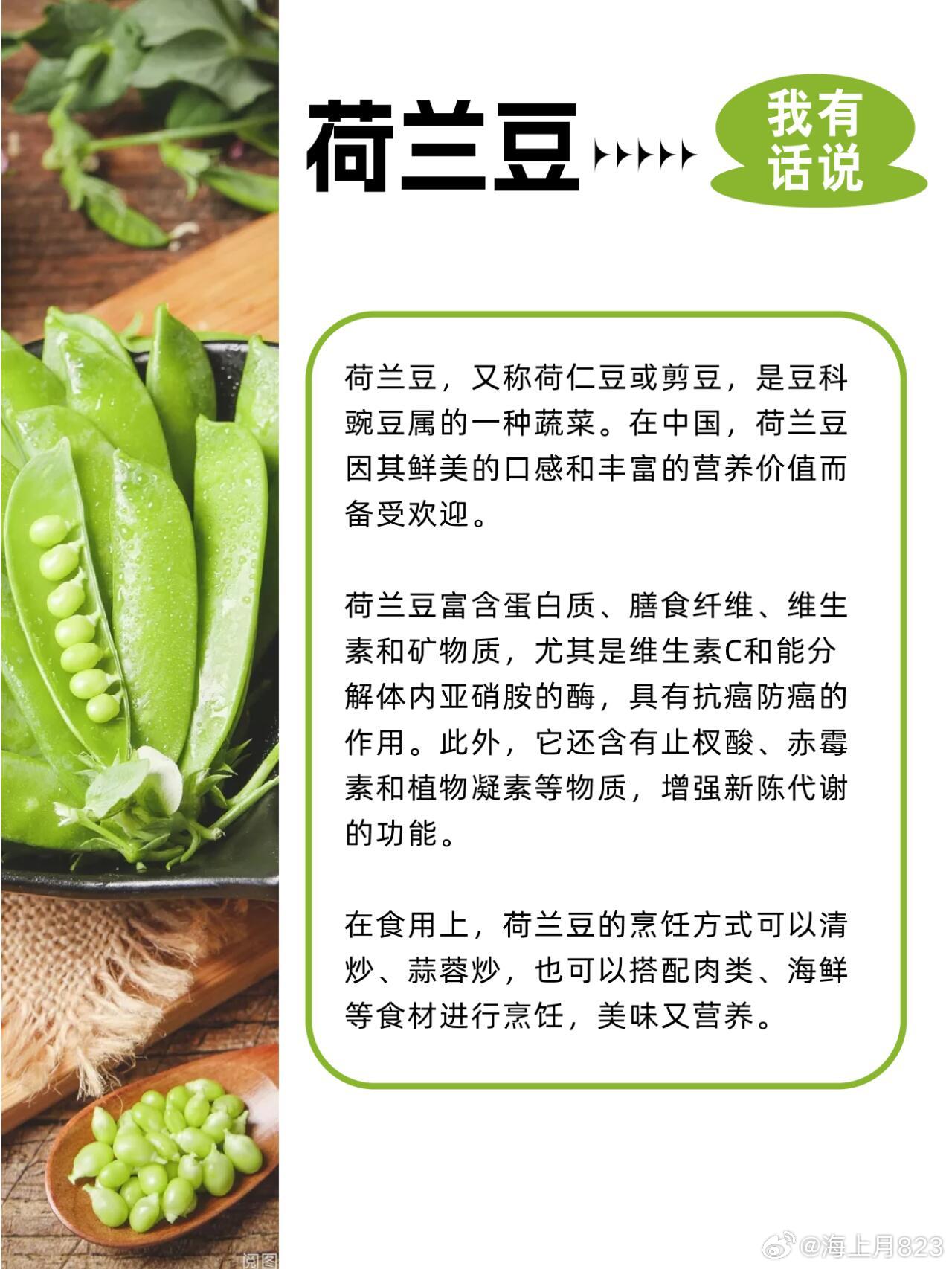荷蘭豆價(jià)格最新行情指南，掌握最新行情，洞悉荷蘭豆價(jià)格動(dòng)態(tài)