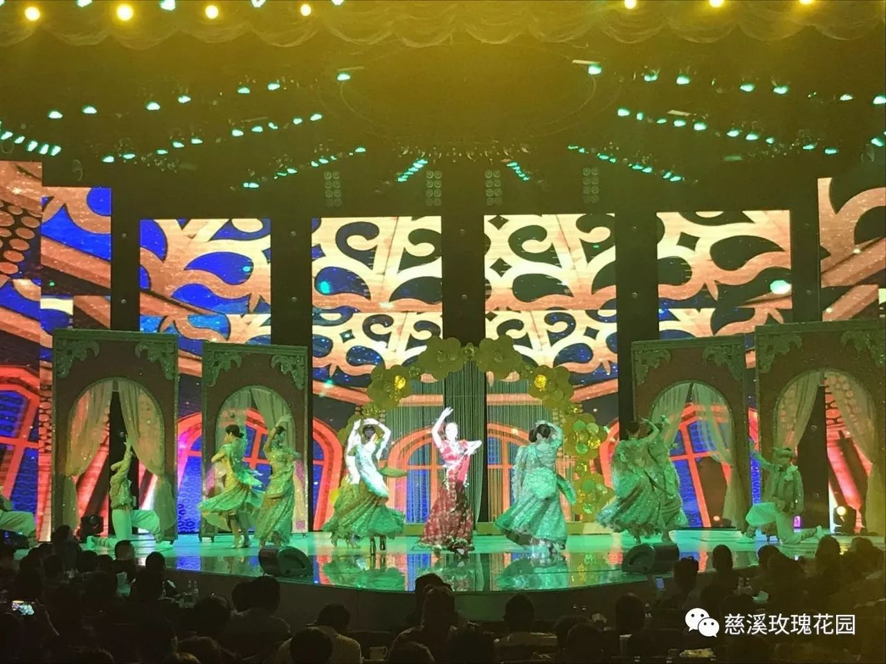 慈溪玫瑰花園最新視頻，綻放的玫瑰盛世美景